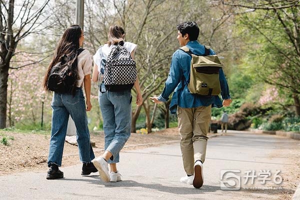 湖南都市职业学院专升本几率高吗（湖南都市职业学院专升本学校）